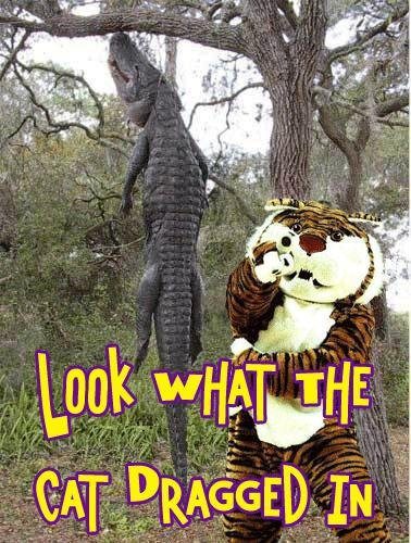 lsu_alligator